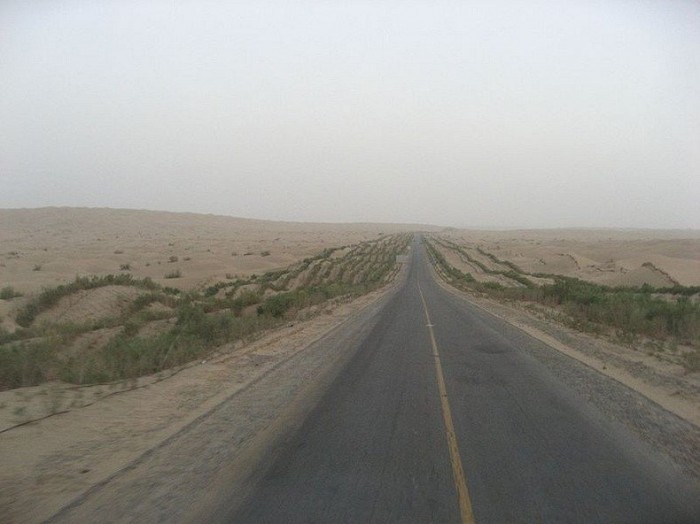 The green border of the world's longest highway through the desert