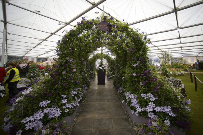 Всі фарби виставки квітів & laquo; Chelsea Flower Show 2013 & raquo;