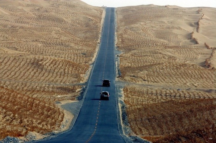 The green border of the world's longest highway through the desert