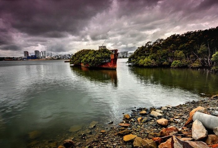 102-year-old abandoned ship with a floating forest