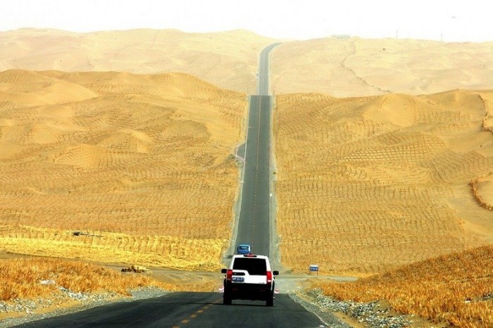 The green border of the world's longest highway through the desert