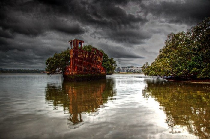 102-year-old abandoned ship with a floating forest
