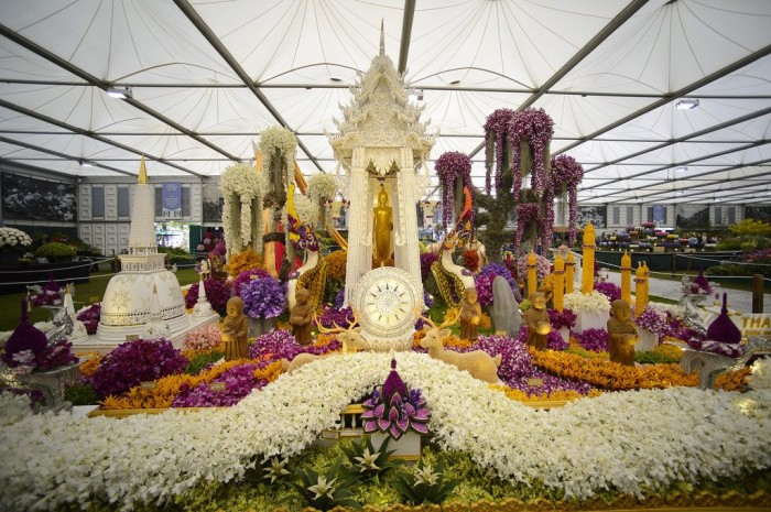 All the colors of the flower exhibition &