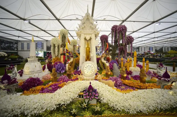 Все краски выставки цветов «Chelsea Flower Show 2013»