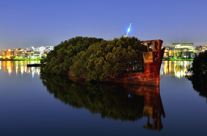 102-year-old abandoned ship with a floating forest