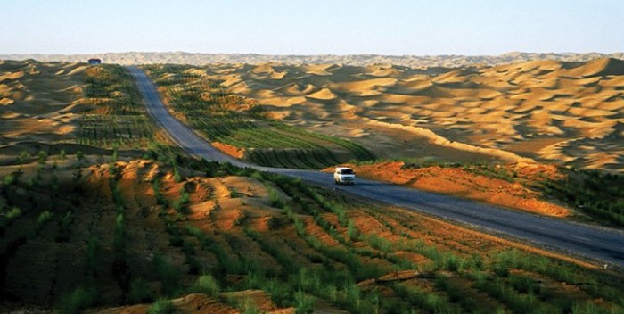 The green border of the world's longest highway through the desert