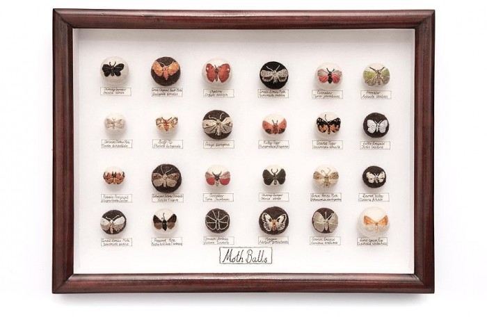 Felted insects by Claire Moynihan