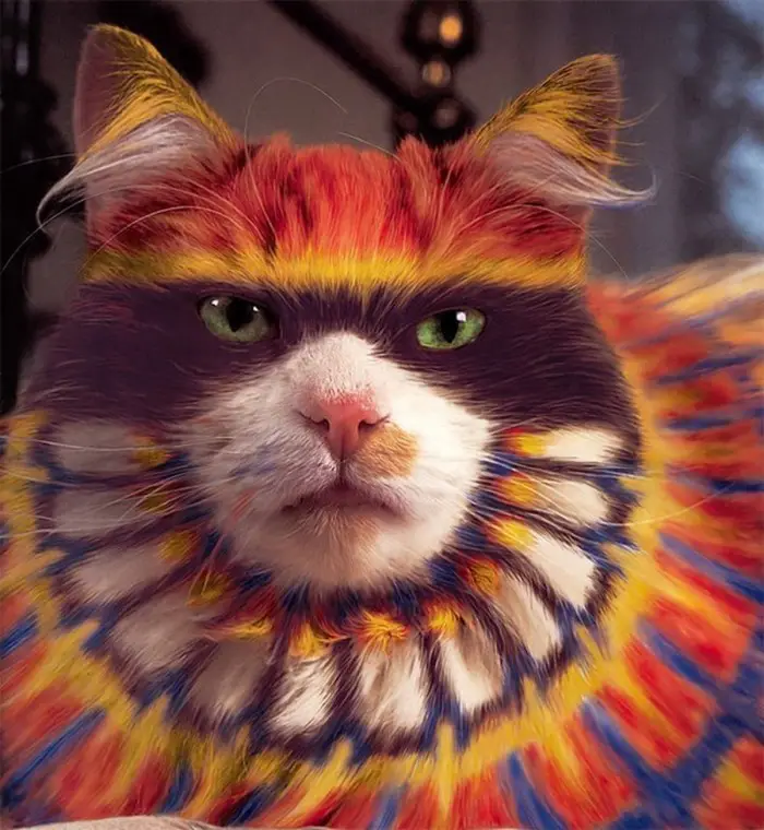 Новая форма искусства – кэтпейнтинг (catpainting)
