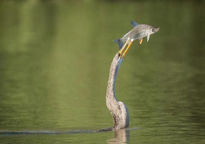 Останні конкурсні роботи & laquo; National Geographic Traveler Photo 2013 & raquo;