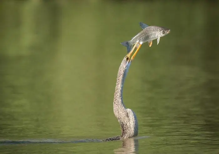 Последние конкурсные работы «National Geographic Traveler Photo 2013»