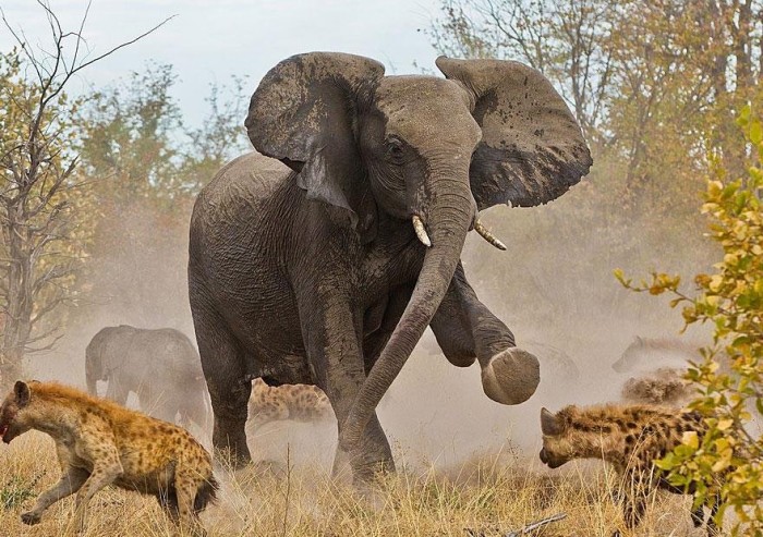 Останні конкурсні роботи & laquo; National Geographic Traveler Photo 2013 & raquo;