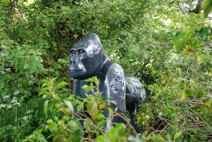 The ubiquitous gorillas of Norwich in the project
