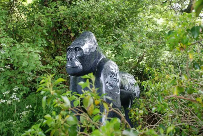 Вездесущие гориллы Норвича в проекте «GoGoGorillas!»