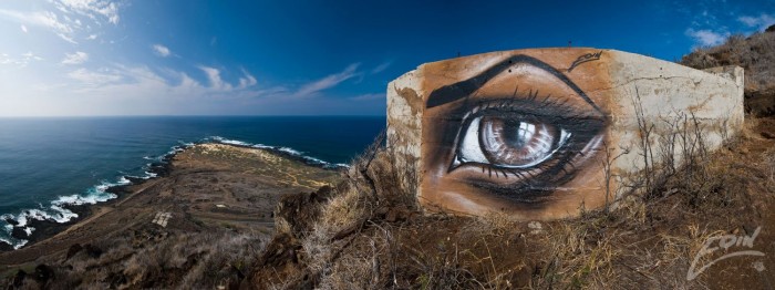 Brilliant eyes in the street art Eoin