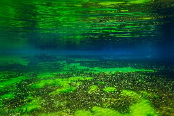 Rotomairewhenua – самое прозрачное в мире озеро