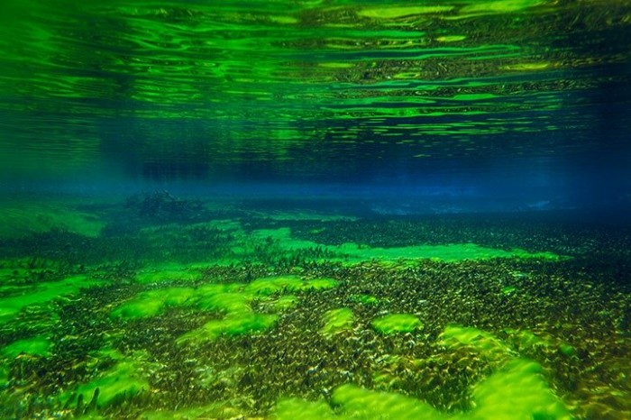 Rotomairewhenua & ndash; the most transparent lake in the world