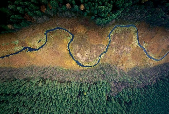 Польские леса осенью в фотографиях Каспера Ковальски (Kacper Kowalski)