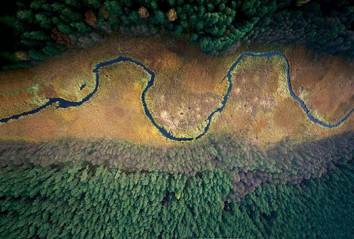 Польські ліси восени в фотографіях Каспера Ковальські (Kacper Kowalski)