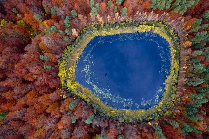 Польские леса осенью в фотографиях Каспера Ковальски (Kacper Kowalski)