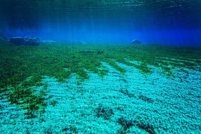 Rotomairewhenua & ndash; the most transparent lake in the world