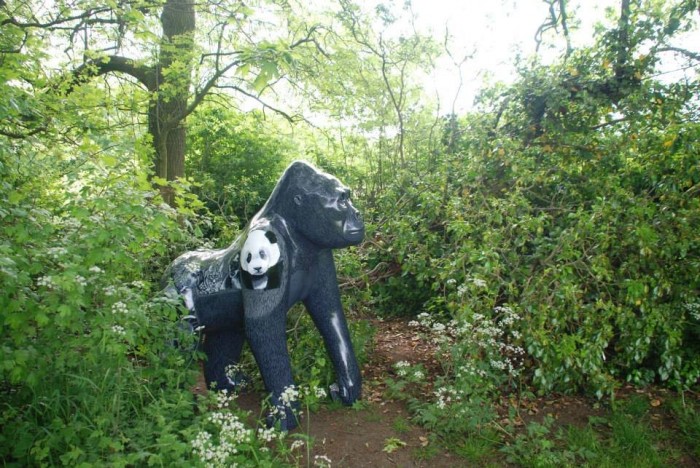 Всюдисущі горили Норвіча в проекті & laquo; GoGoGorillas! & Raquo;