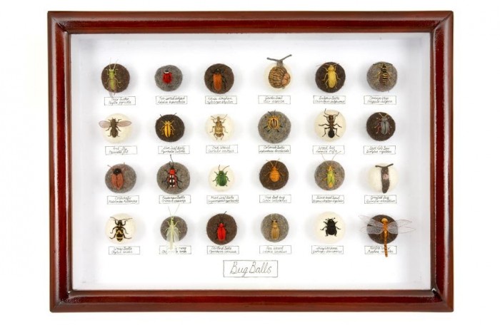 Felted insects Claire Moynihan