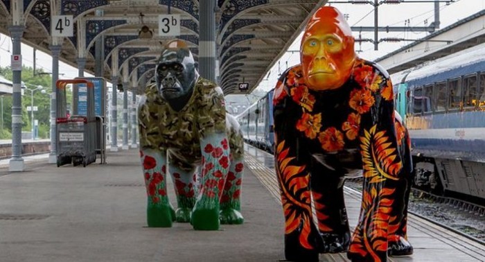 The ubiquitous gorillas of Norwich in the project