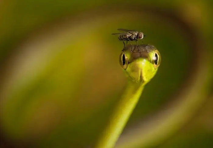 Последние конкурсные работы «National Geographic Traveler Photo 2013»