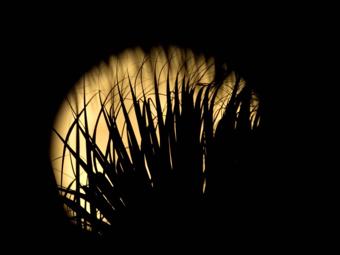 Superluna June 21-23, 2013