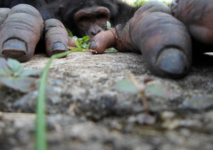 Latest Competition Entries & National Geographic Traveler Photo 2013 & raquo;