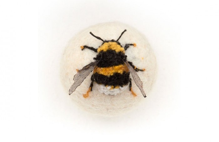 Felted insects Claire Moynihan