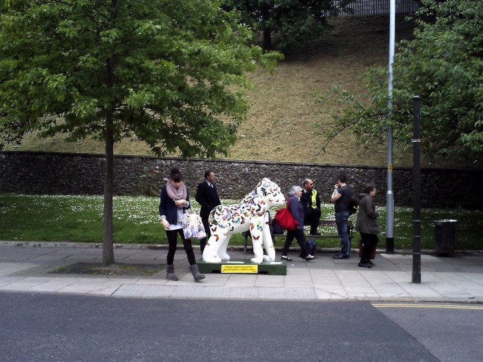 The ubiquitous gorillas of Norwich in the project