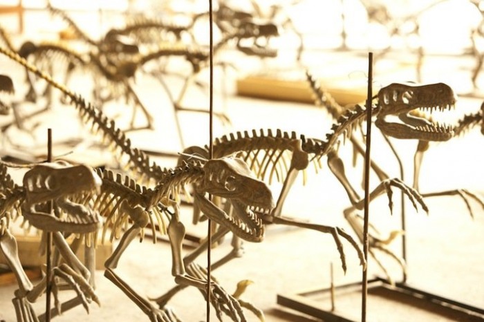 The golden skeletons of the dinosaurs of Louis Vuitton