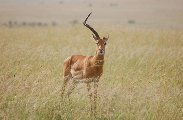 Latest Competition Entries & National Geographic Traveler Photo 2013 & raquo;