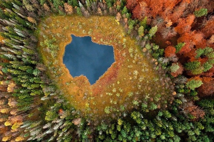 Польські ліси восени в фотографіях Каспера Ковальські (Kacper Kowalski)