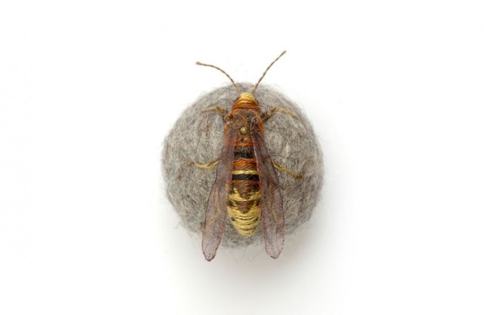 Felted insects Claire Moynihan