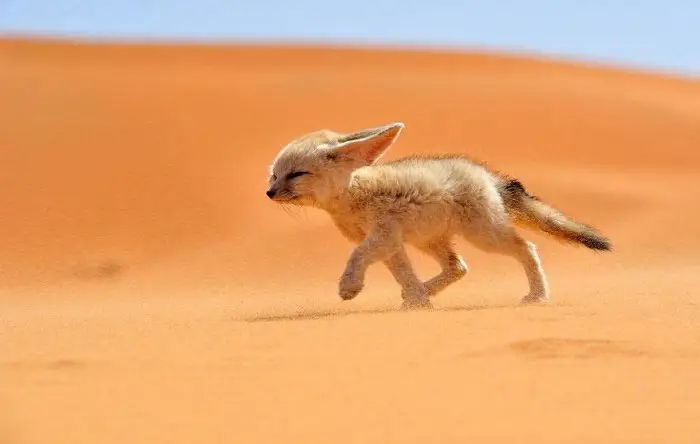 Последние конкурсные работы «National Geographic Traveler Photo 2013»
