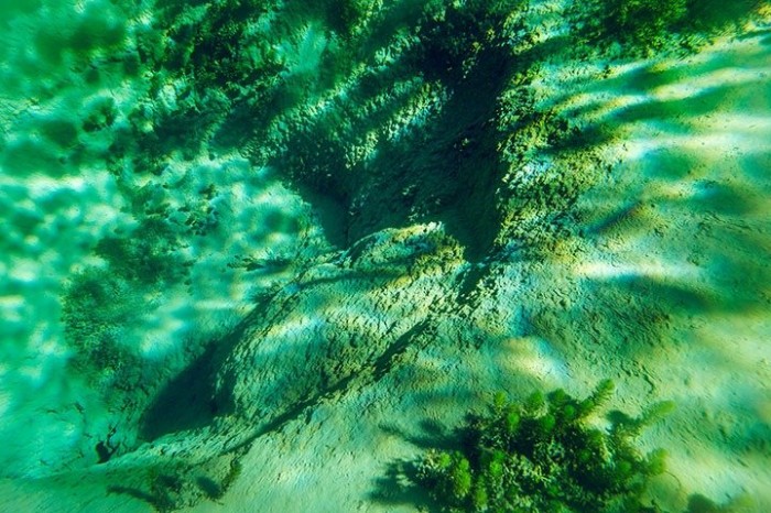 Rotomairewhenua & is the most transparent lake in the world