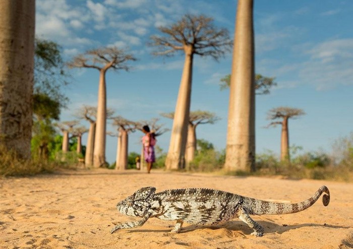 Последние конкурсные работы «National Geographic Traveler Photo 2013»