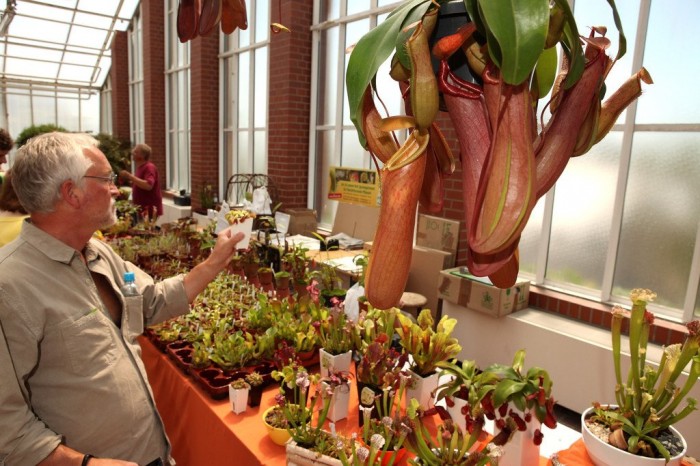 Exhibition of carnivorous plants in Berlin