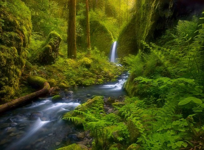 Магия природы в фотопейзажах Марка Адамуса (Marc Adamus)