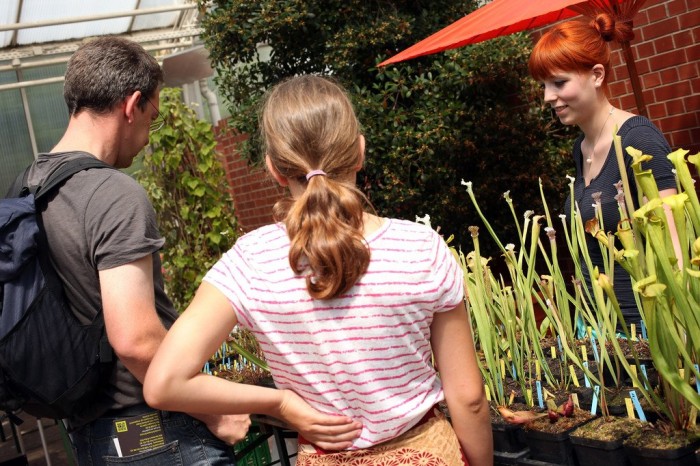 Exhibition of carnivorous plants in Berlin