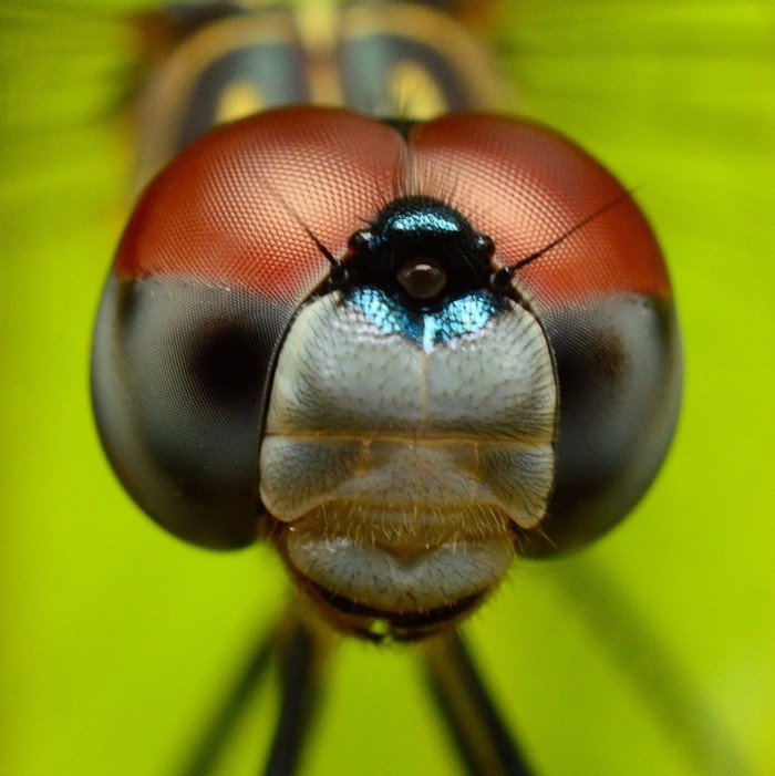 All the winners and the best works of the photo contest