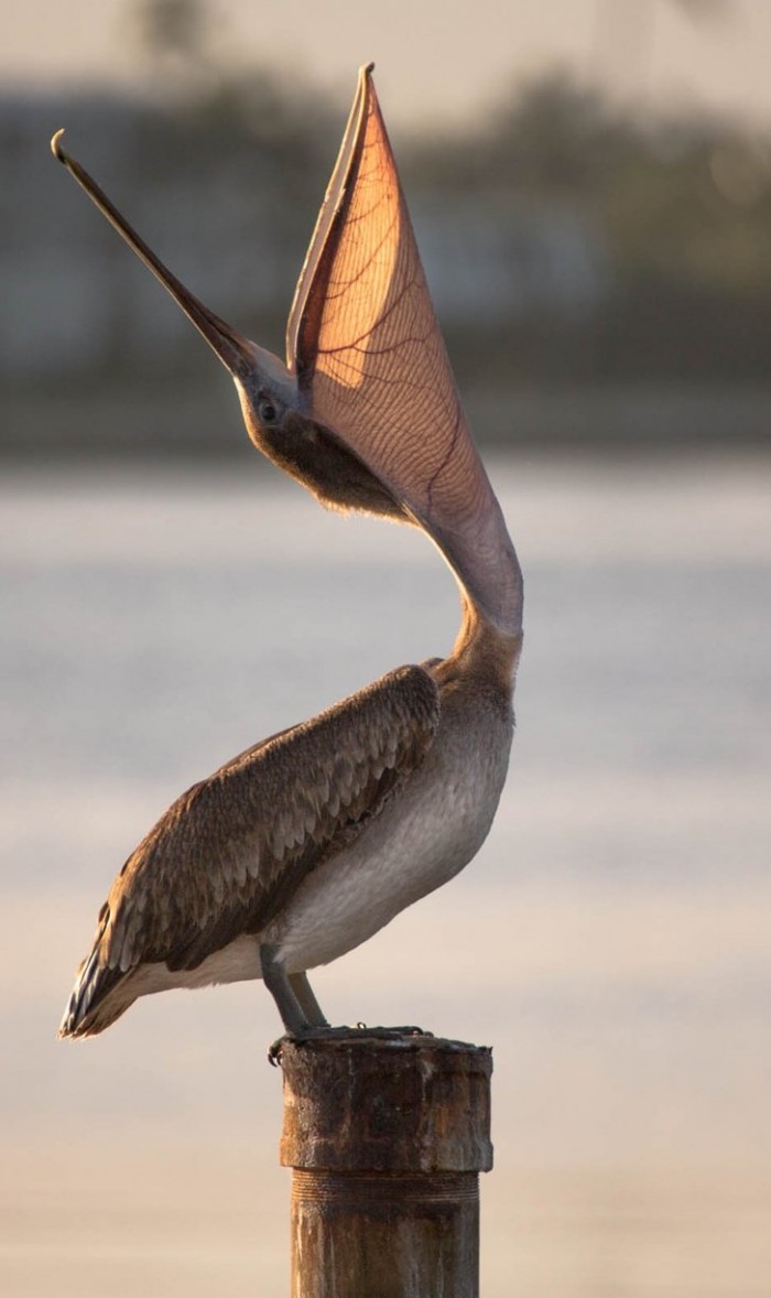 All the winners and the best works of the photo contest