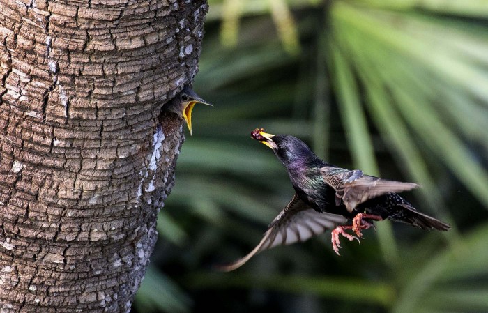 All the winners and the best works of the photo contest