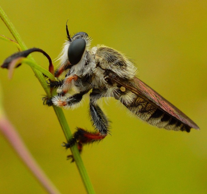 All the winners and the best works of the photo contest