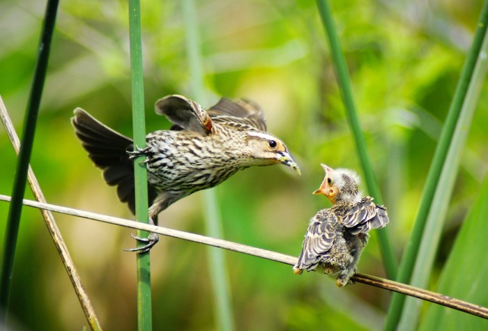 All the winners and the best works of the photo contest