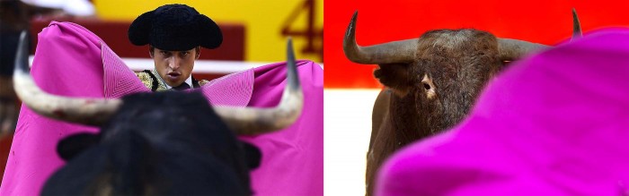 Фестиваль Сан-Фермін 2013 і втеча від биків