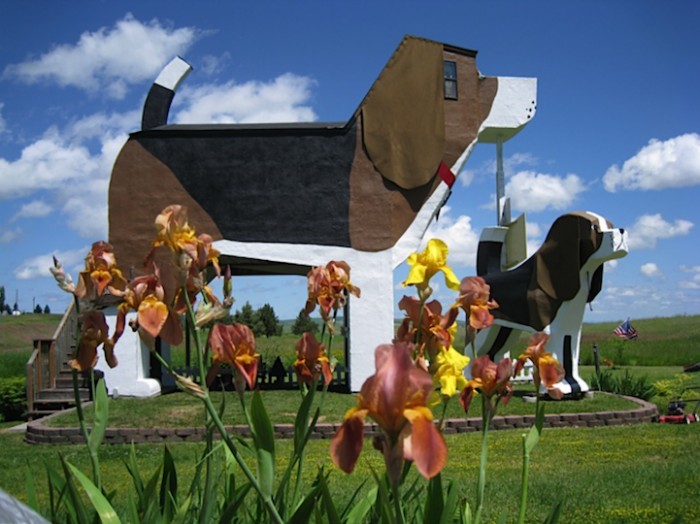 Hotel in the shape of a dog in the United States