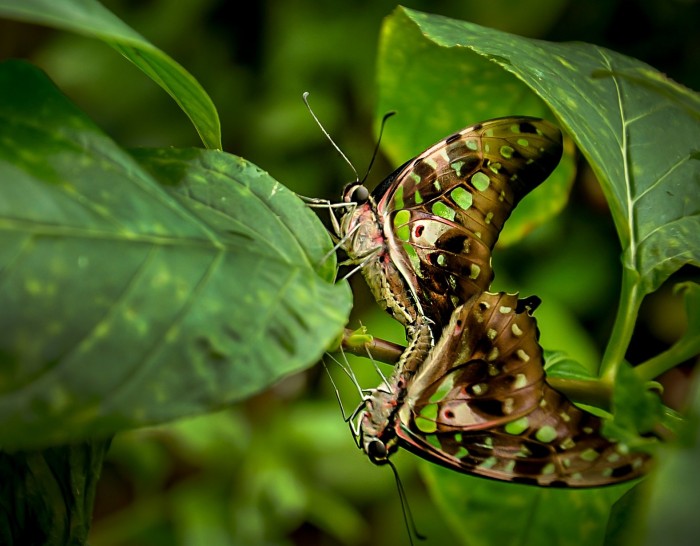 All the winners and the best works of the photo contest